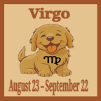 The Virgo make for Meticulous Companions