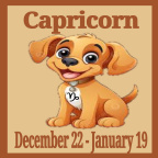 Life with the Most Disciplined Pet the Capricorn