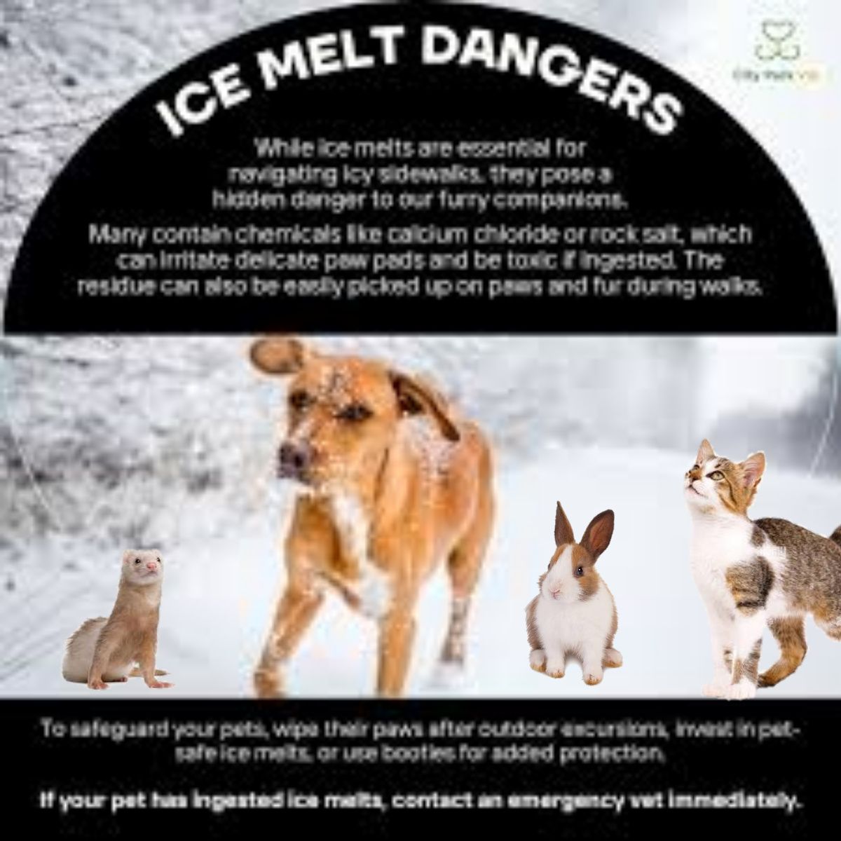 The Dangers of Rock Salt (Sodium Chloride) to Pets: A Focus on Dogs, Cats, Ferrets, and Rabbits